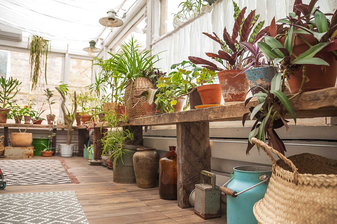 Creative Ways to Garden When You Live in the City Image