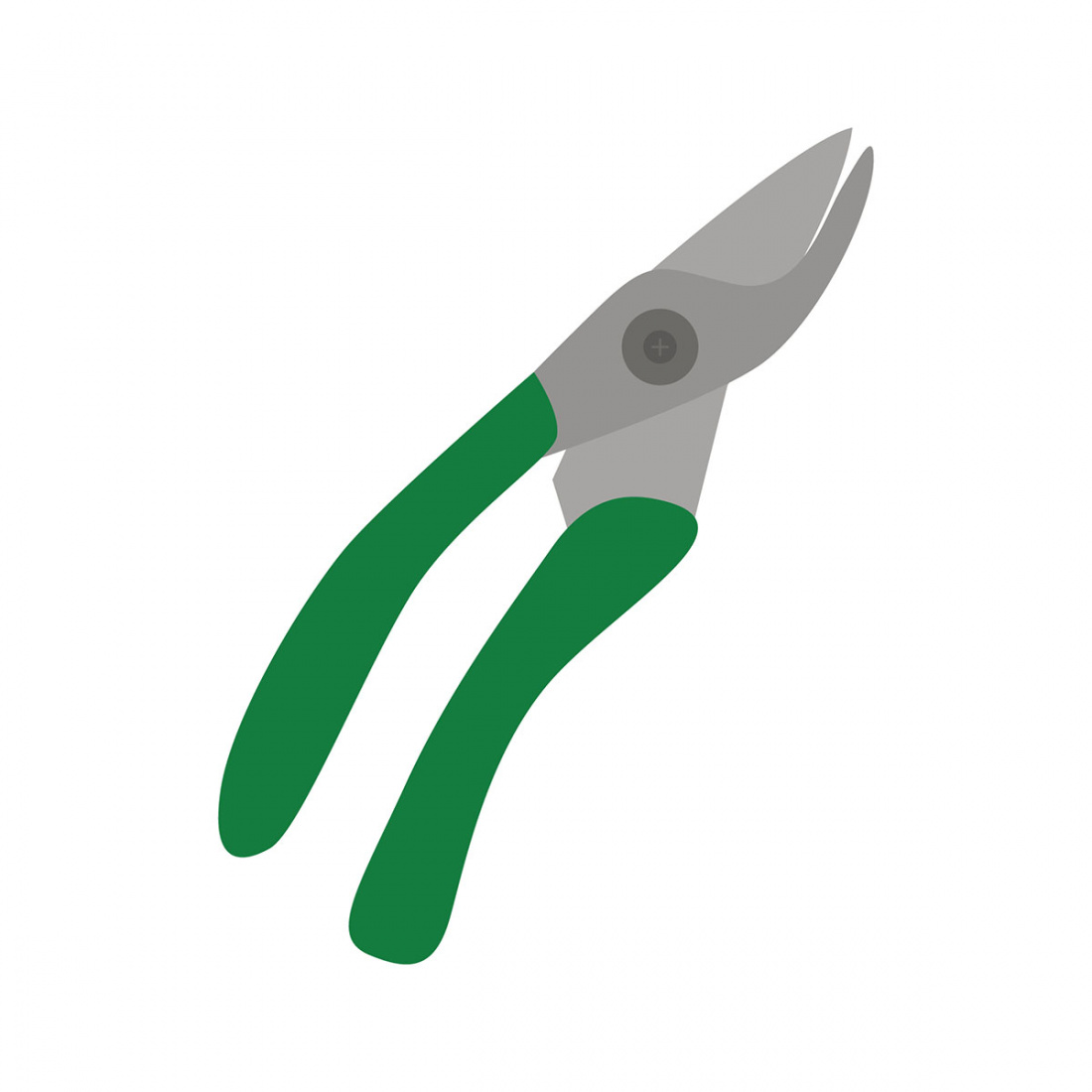 This is How to Prune a Date Palm Tree Image