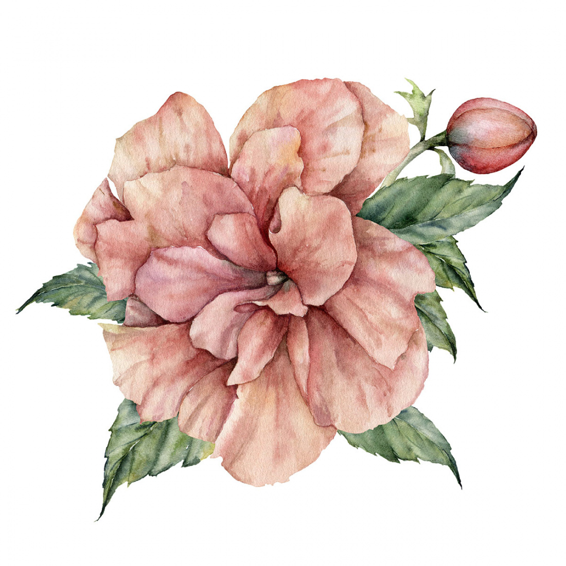 Hardy Tropical Plants in Container Image