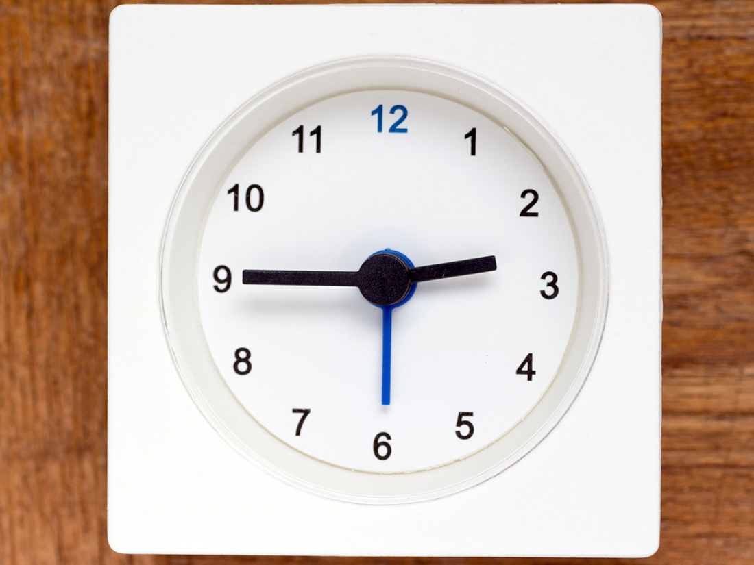 This is How to Prune a Date Palm Tree Image