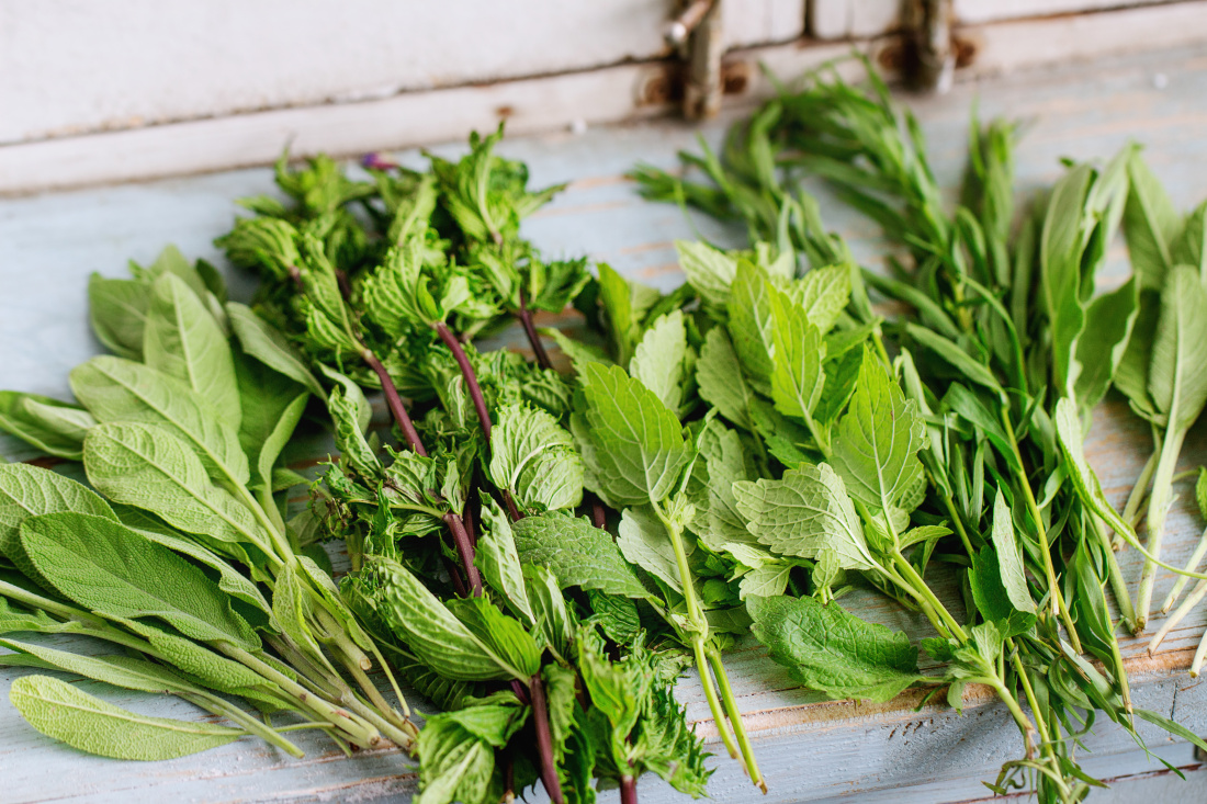 Why You Should Grow Your Own Herbs Image